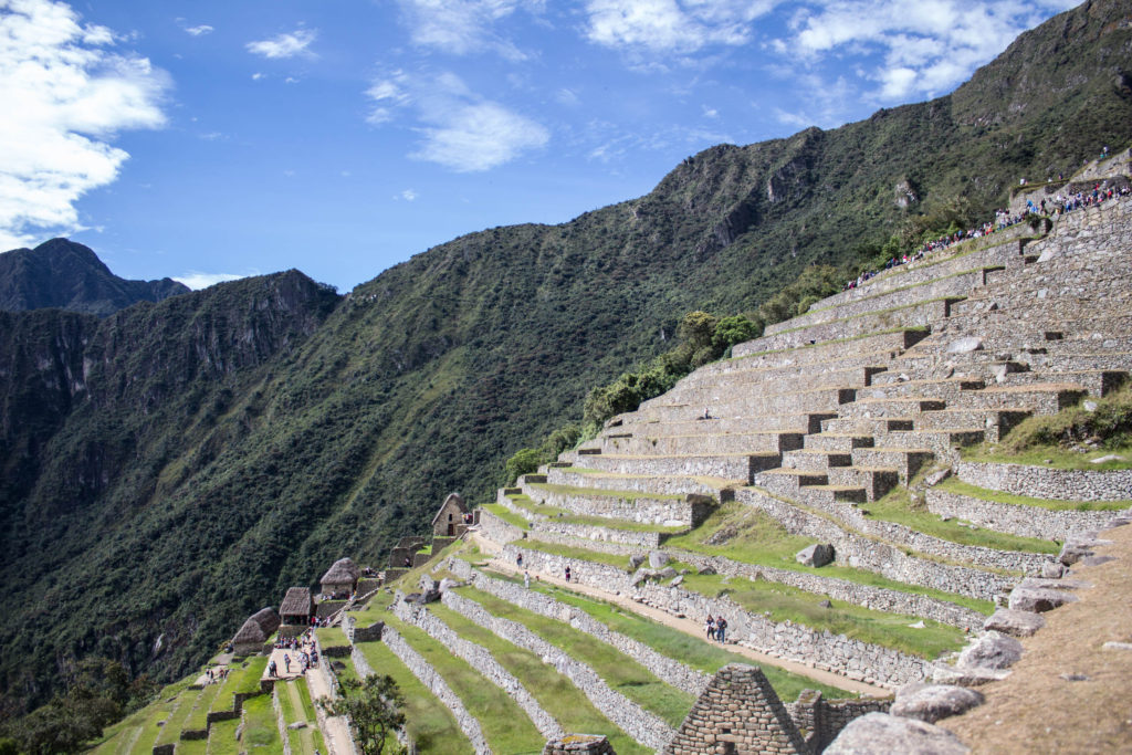 Agricultural terraces